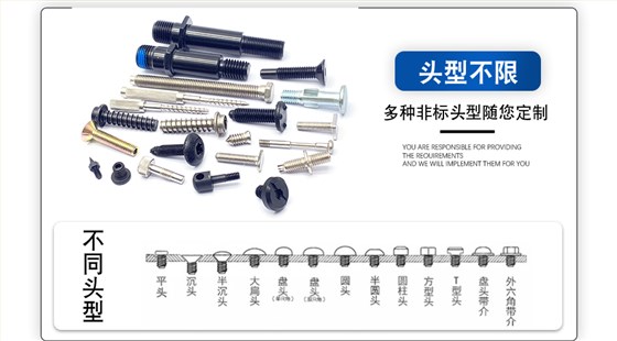 非标定做螺丝,椭圆形螺丝,非标螺丝定做生产厂